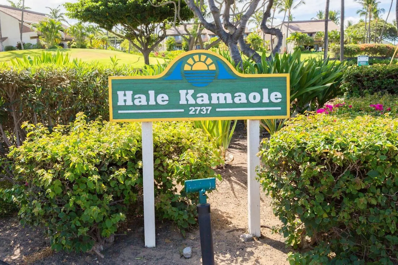 Holiday home Hale Kamaole 173 Villa Wailea