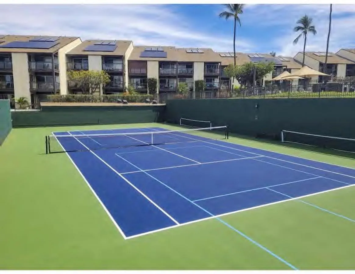 Holiday home Hale Kamaole 173 Villa Wailea
